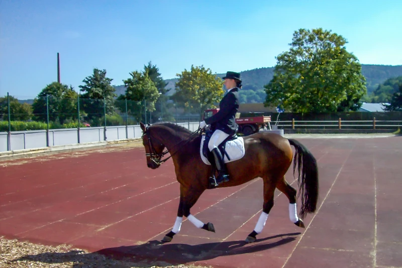 WARCO paddock mats are also a good, weatherproof and low-maintenance alternative to riding sand in the riding arena, which is labour-intensive to maintain.