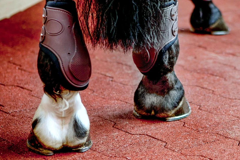 The particularly robust double-T interlocking paving from WARCO is the preferred floor covering for the hoof beat in a horse walker. In all gaits, the H-stones offer the horses an elastic and safe surface.
